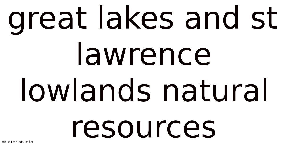 Great Lakes And St Lawrence Lowlands Natural Resources