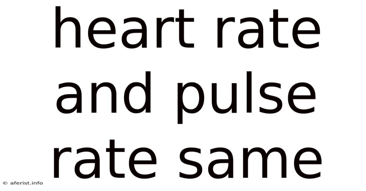 Heart Rate And Pulse Rate Same