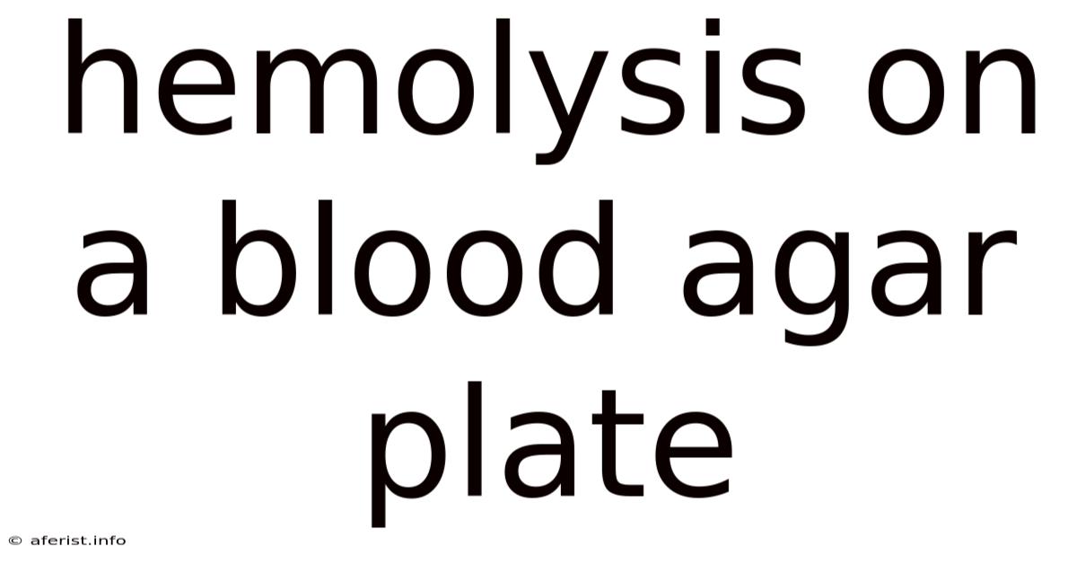 Hemolysis On A Blood Agar Plate