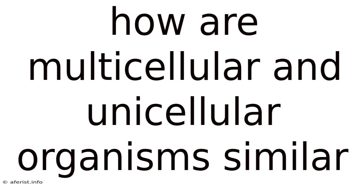 How Are Multicellular And Unicellular Organisms Similar