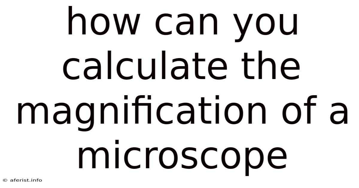 How Can You Calculate The Magnification Of A Microscope