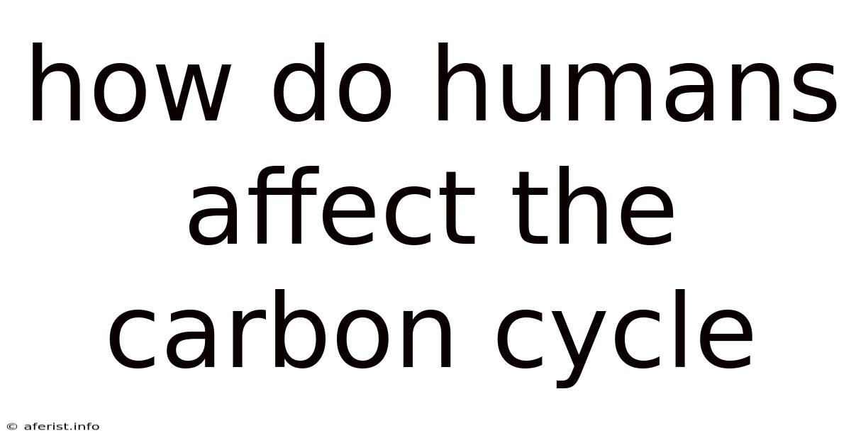How Do Humans Affect The Carbon Cycle