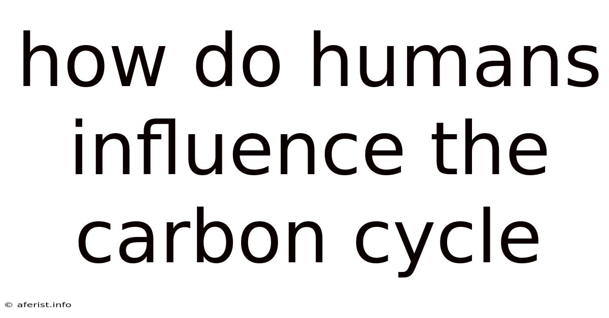 How Do Humans Influence The Carbon Cycle
