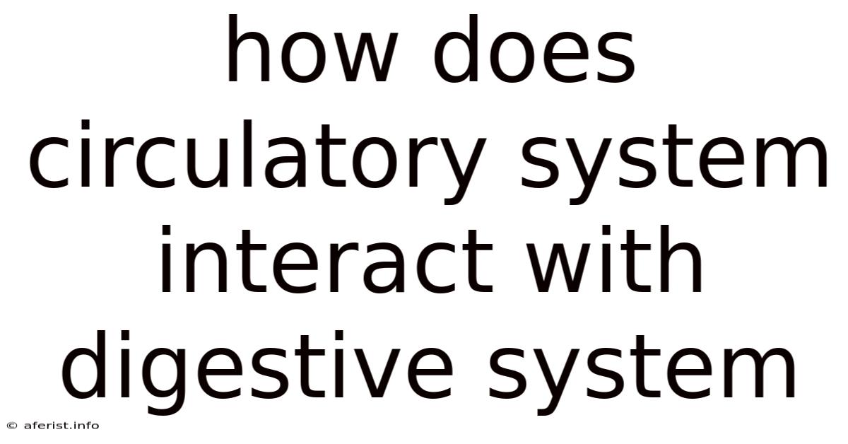 How Does Circulatory System Interact With Digestive System