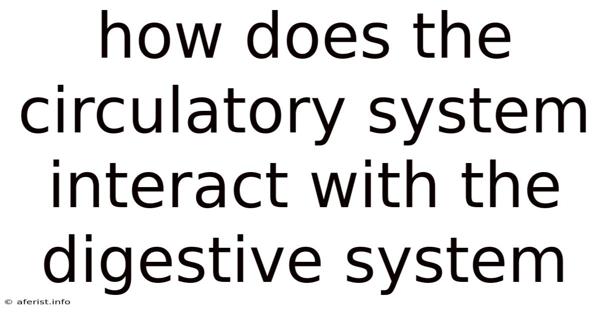 How Does The Circulatory System Interact With The Digestive System