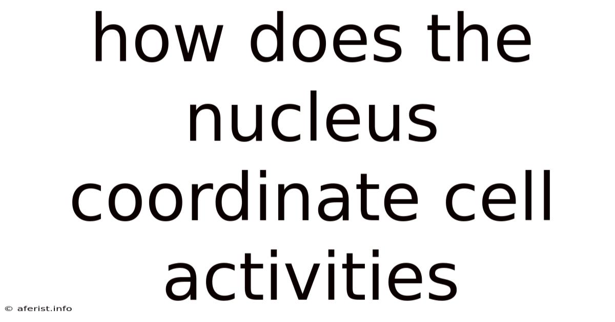 How Does The Nucleus Coordinate Cell Activities