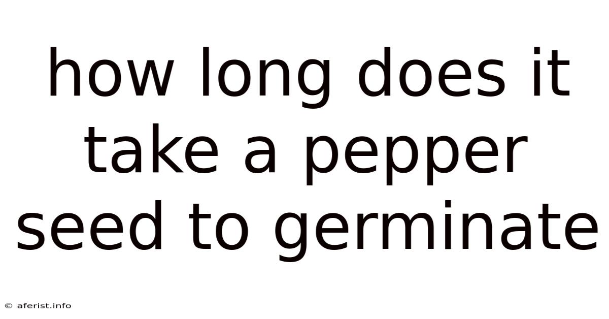 How Long Does It Take A Pepper Seed To Germinate