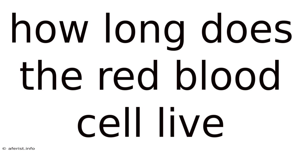 How Long Does The Red Blood Cell Live