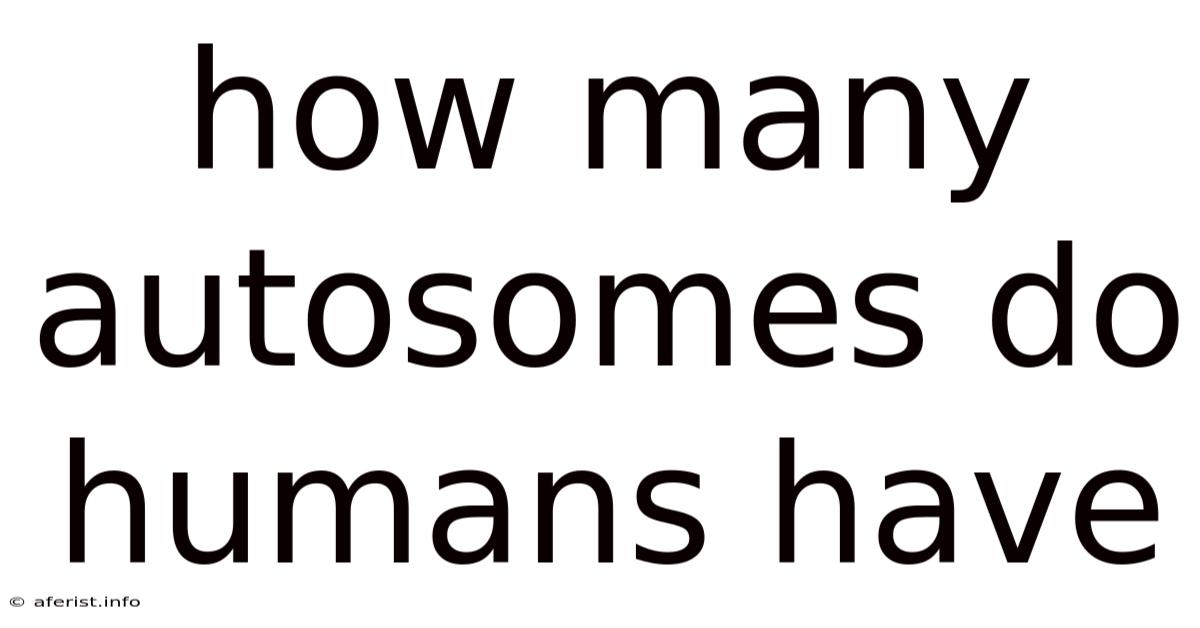 How Many Autosomes Do Humans Have