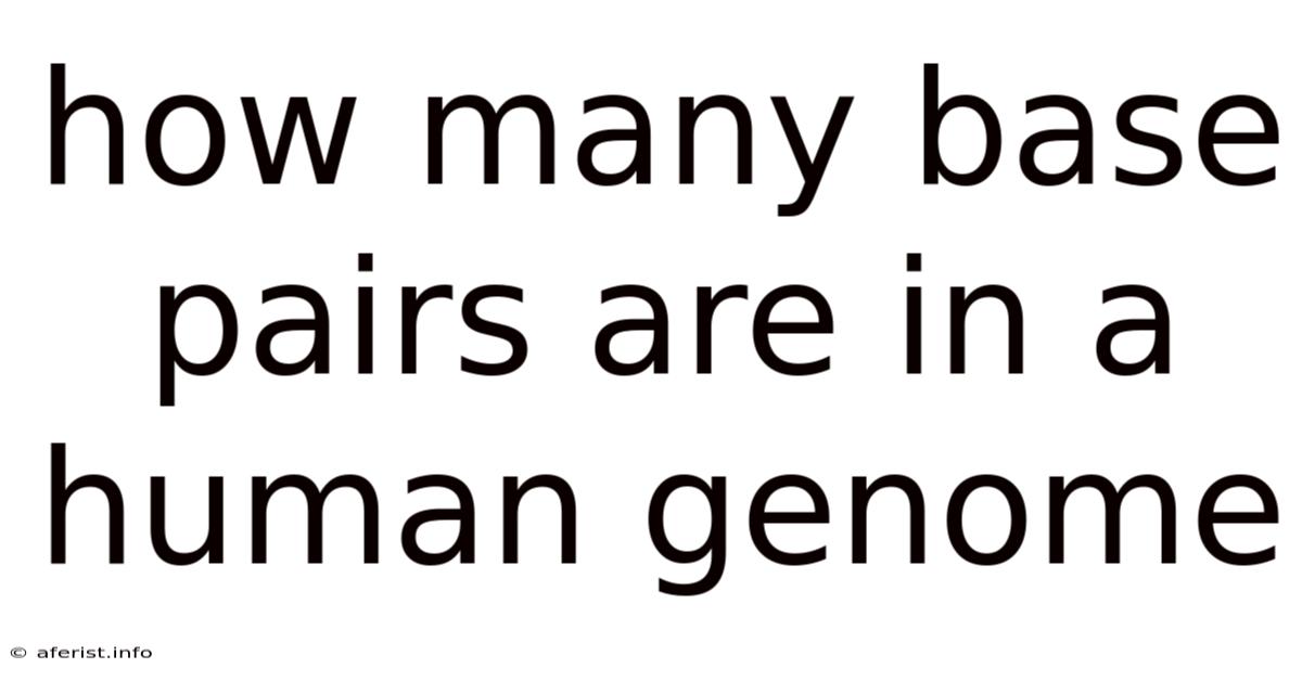 How Many Base Pairs Are In A Human Genome