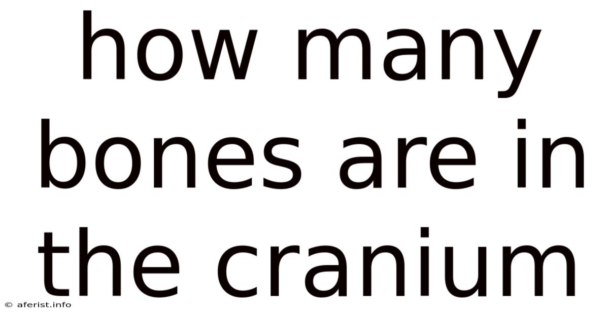 How Many Bones Are In The Cranium
