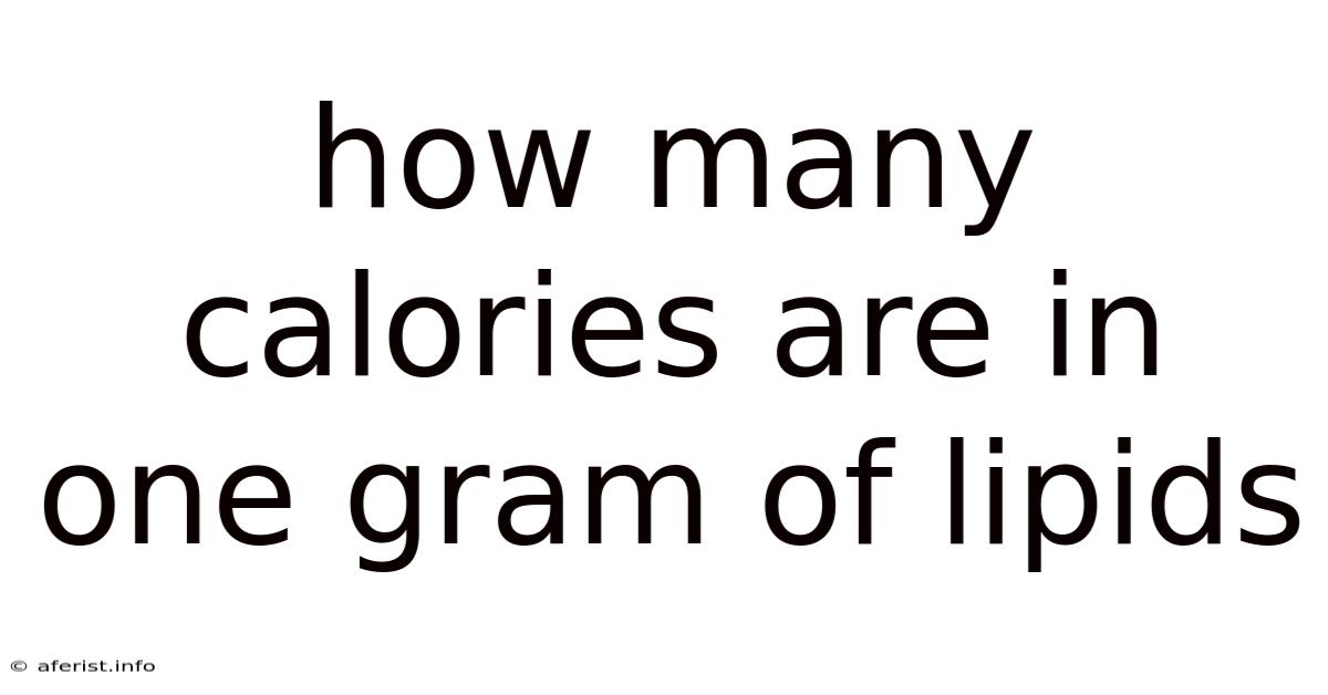 How Many Calories Are In One Gram Of Lipids