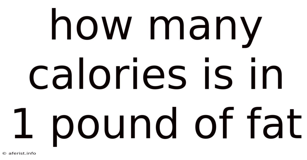 How Many Calories Is In 1 Pound Of Fat