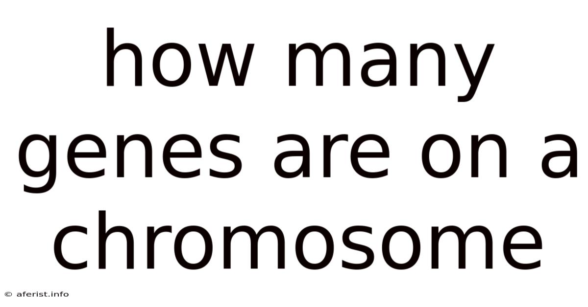 How Many Genes Are On A Chromosome