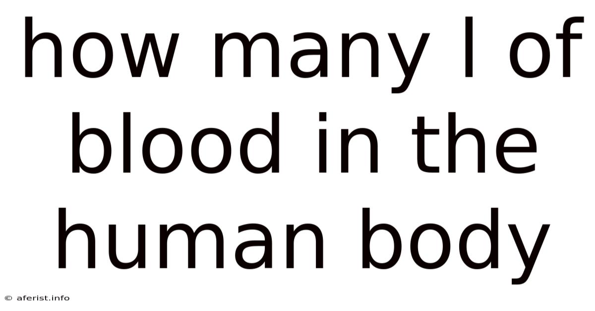 How Many L Of Blood In The Human Body
