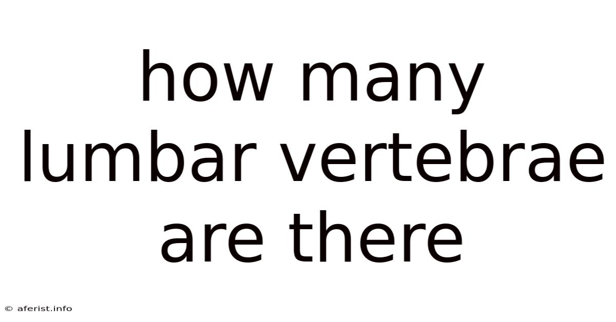 How Many Lumbar Vertebrae Are There