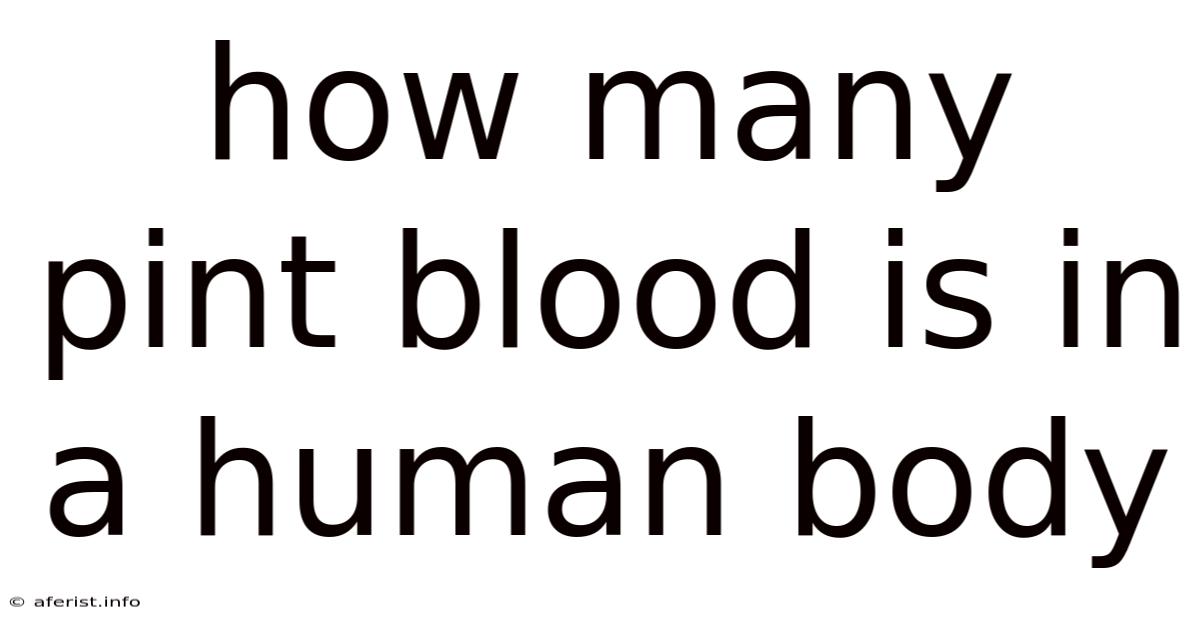 How Many Pint Blood Is In A Human Body