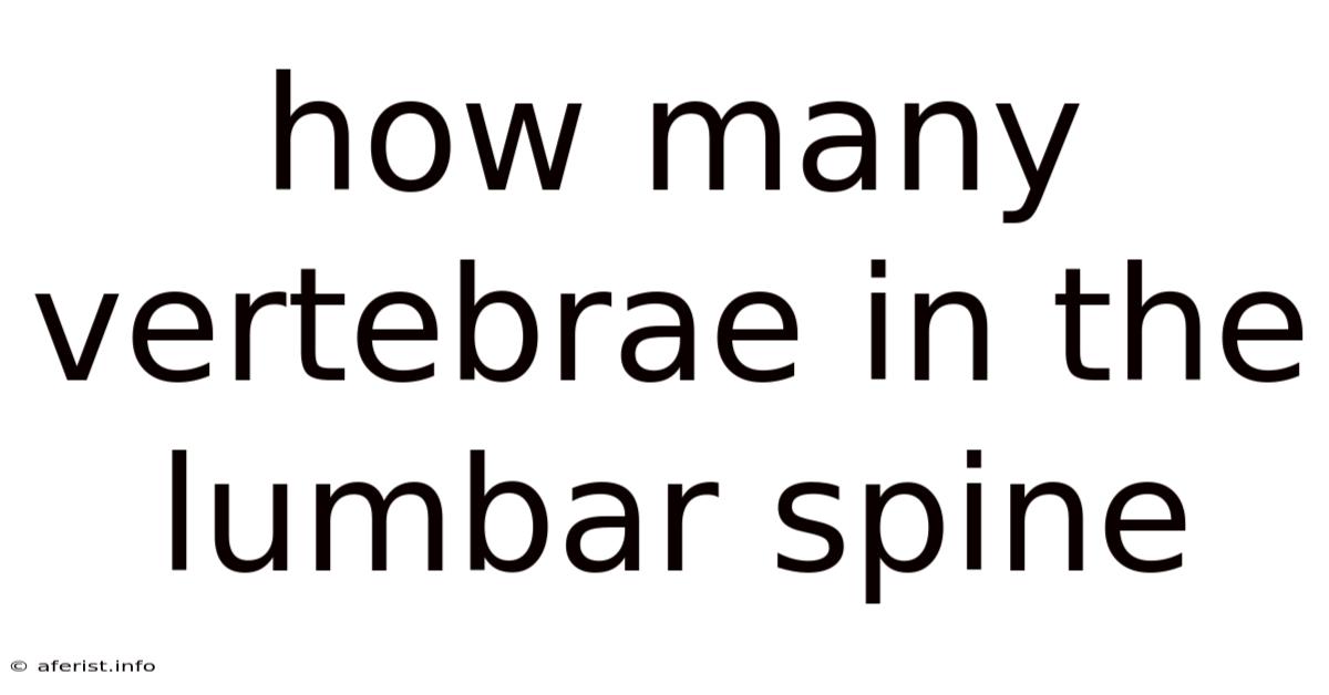 How Many Vertebrae In The Lumbar Spine