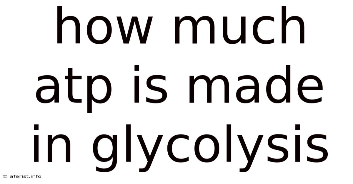How Much Atp Is Made In Glycolysis