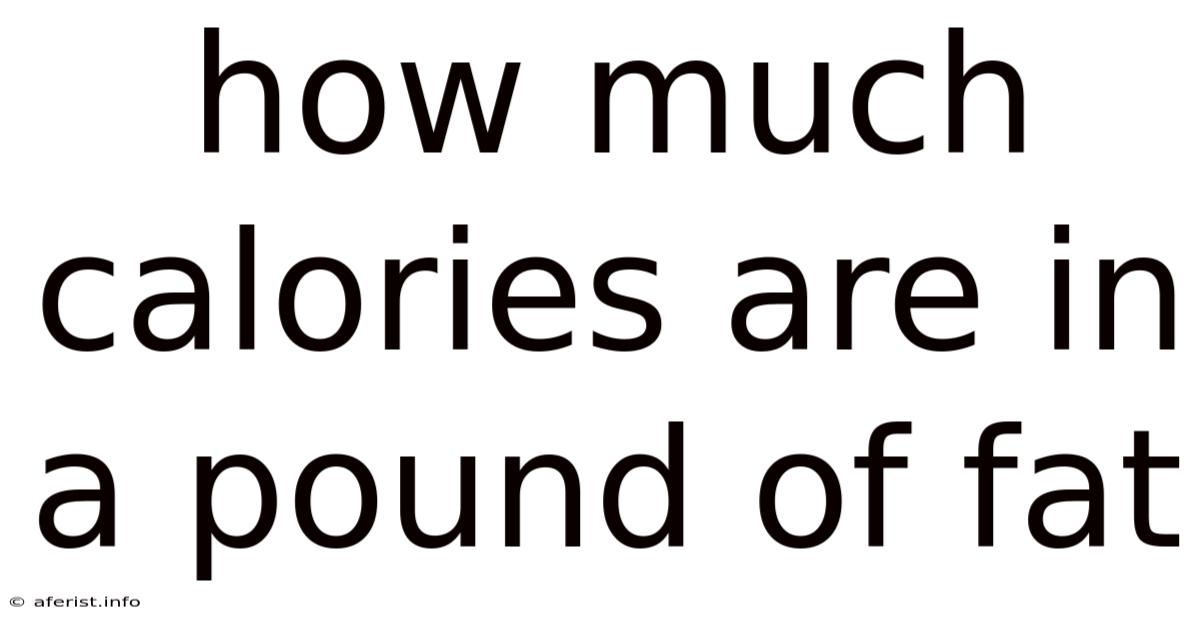 How Much Calories Are In A Pound Of Fat