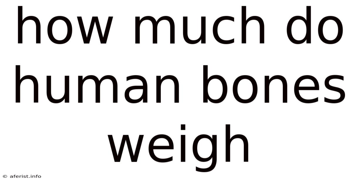How Much Do Human Bones Weigh