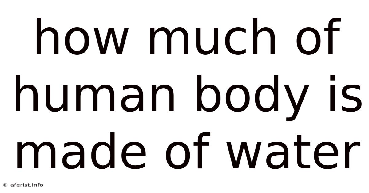 How Much Of Human Body Is Made Of Water