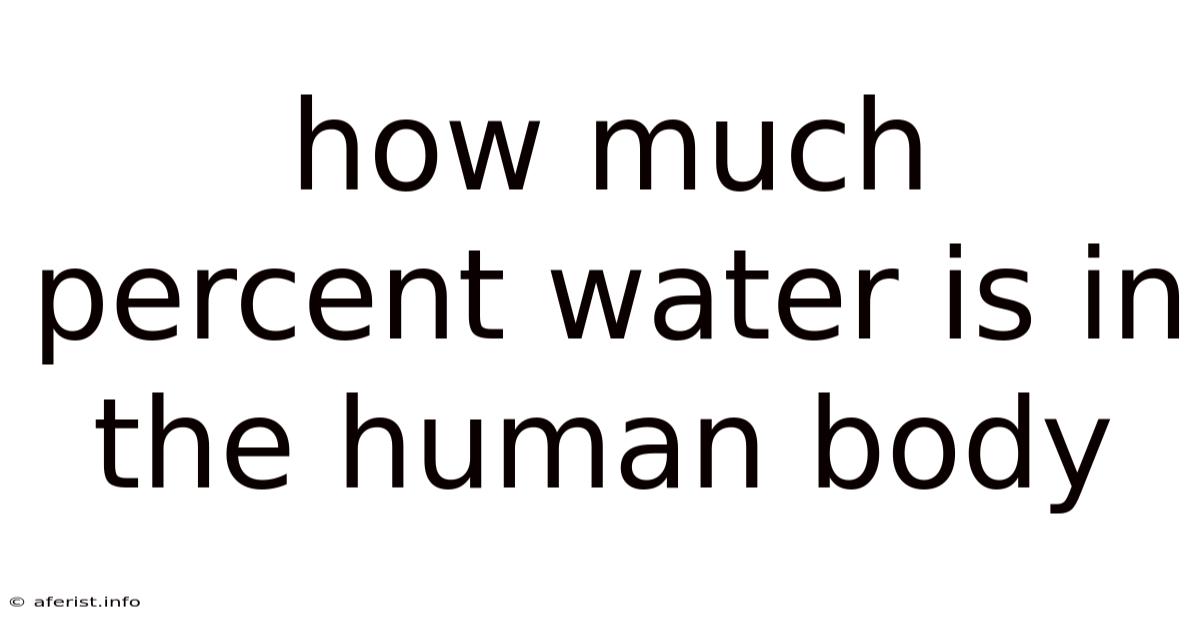 How Much Percent Water Is In The Human Body