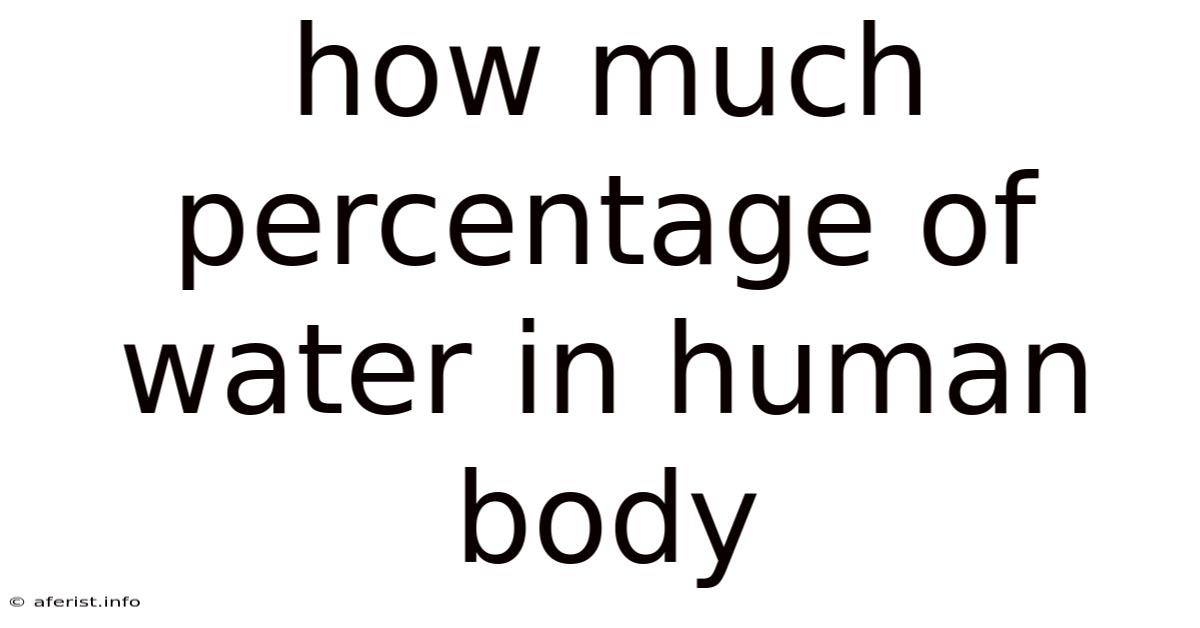 How Much Percentage Of Water In Human Body