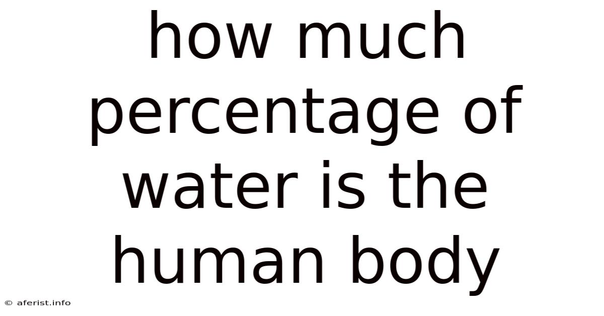 How Much Percentage Of Water Is The Human Body