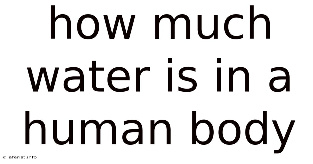 How Much Water Is In A Human Body