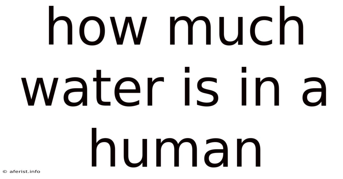 How Much Water Is In A Human