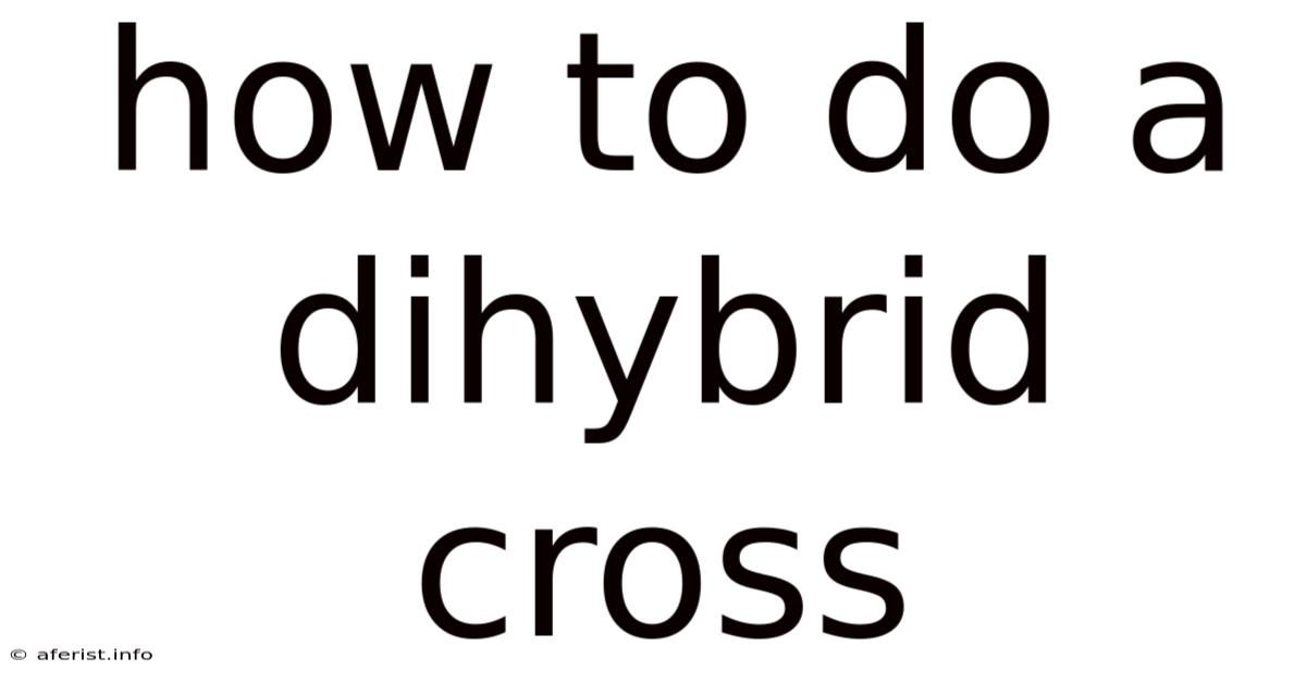 How To Do A Dihybrid Cross