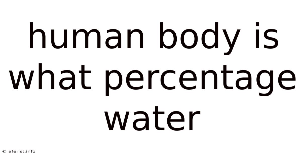 Human Body Is What Percentage Water