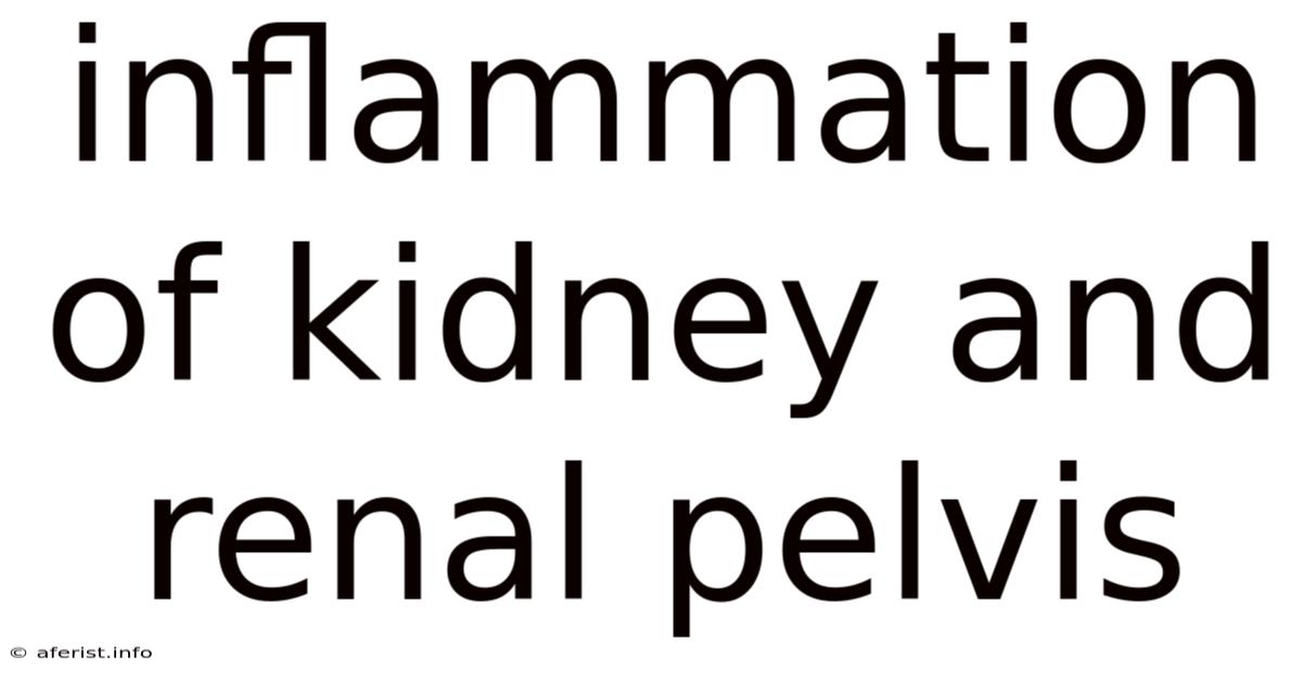 Inflammation Of Kidney And Renal Pelvis