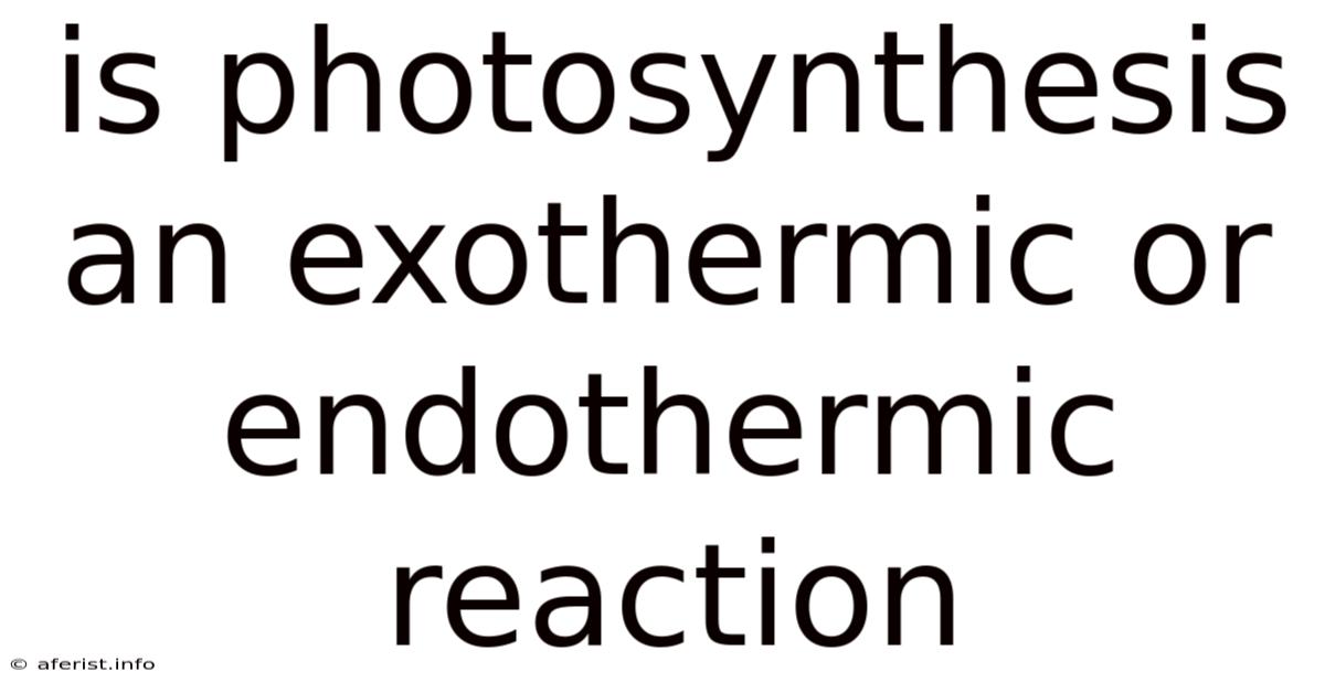 Is Photosynthesis An Exothermic Or Endothermic Reaction