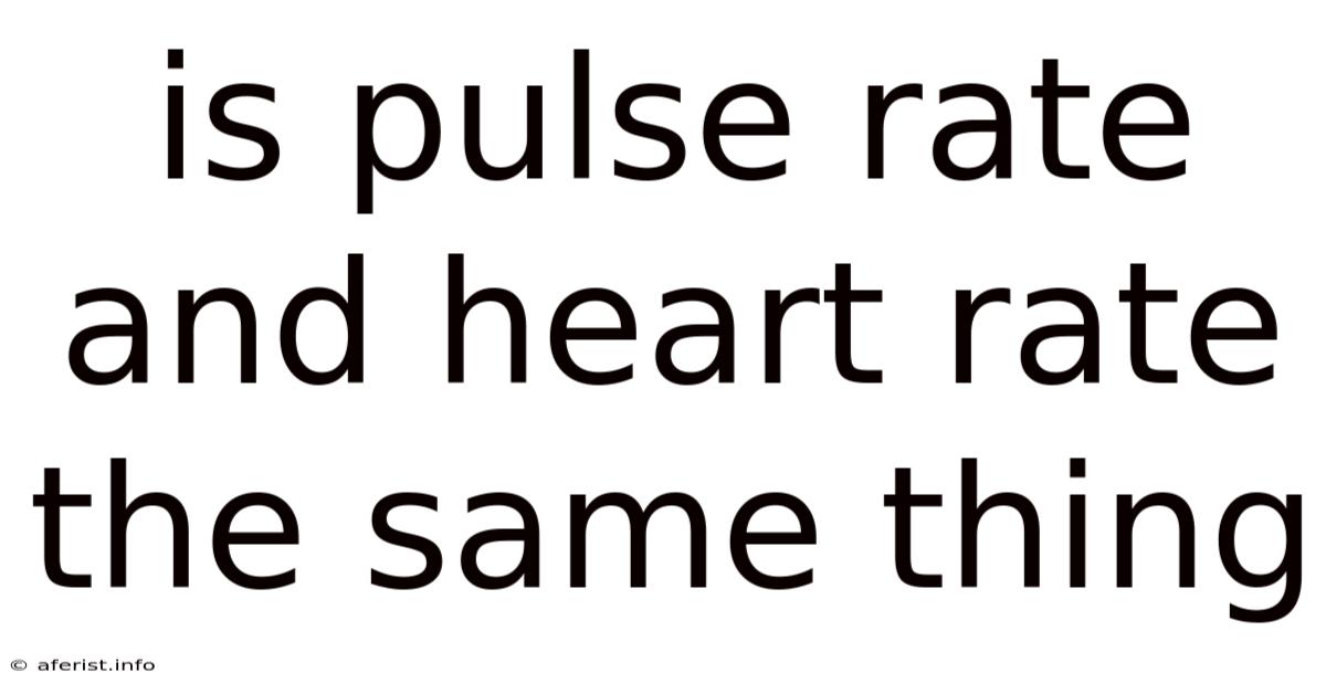 Is Pulse Rate And Heart Rate The Same Thing