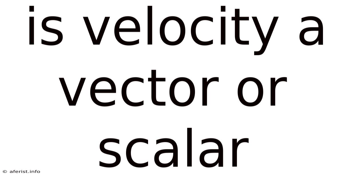 Is Velocity A Vector Or Scalar
