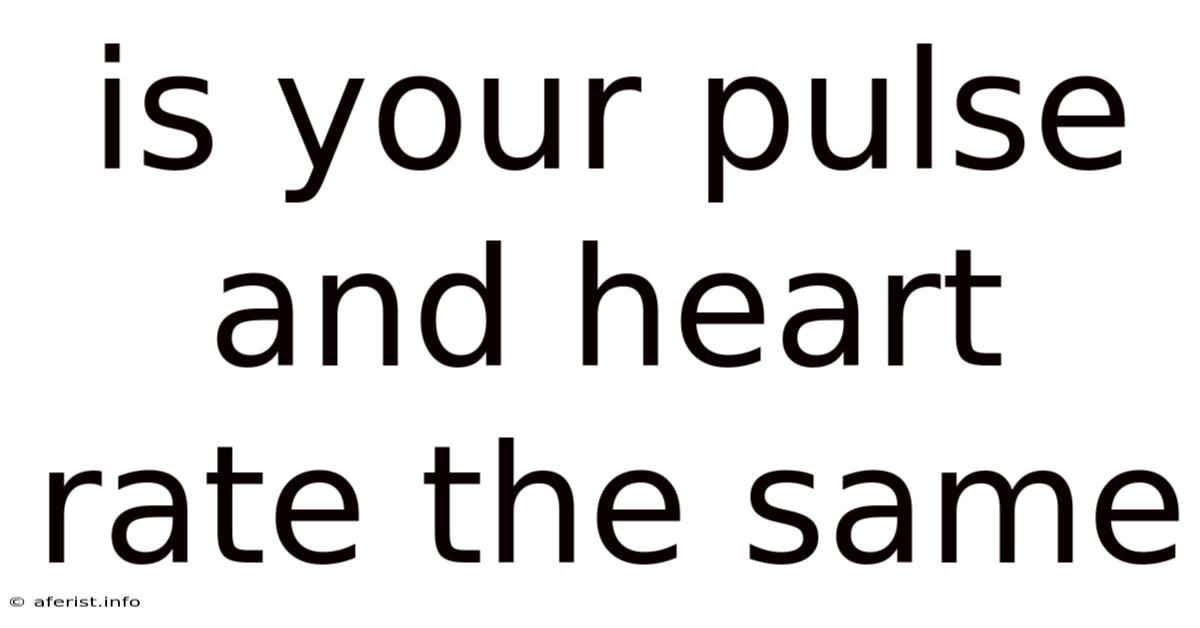 Is Your Pulse And Heart Rate The Same