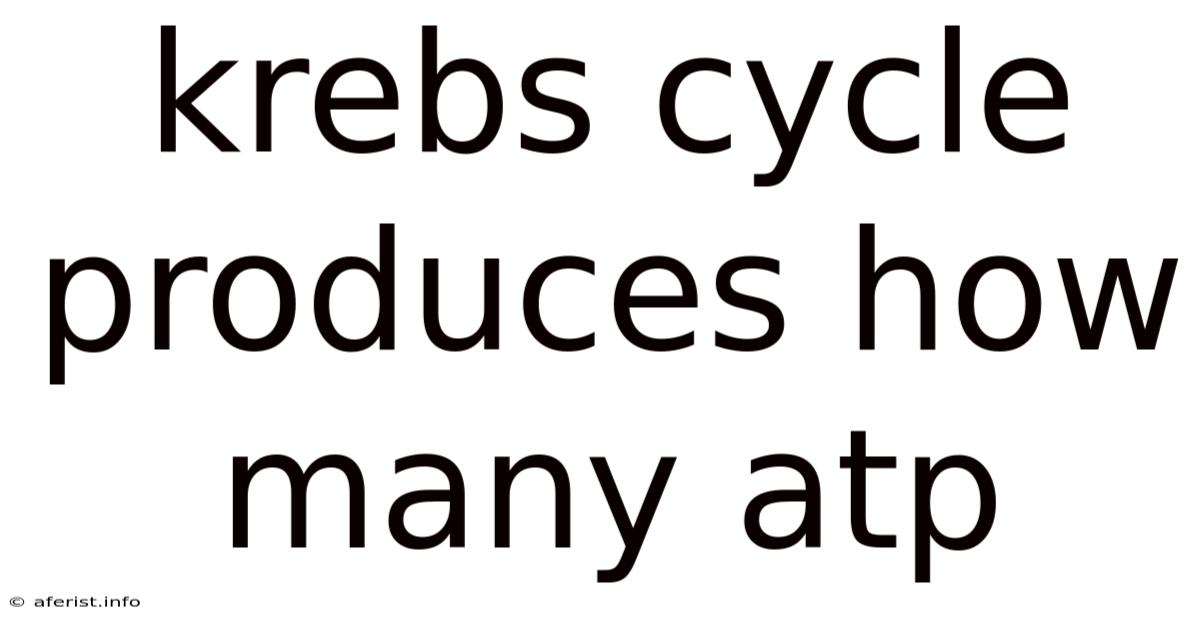 Krebs Cycle Produces How Many Atp