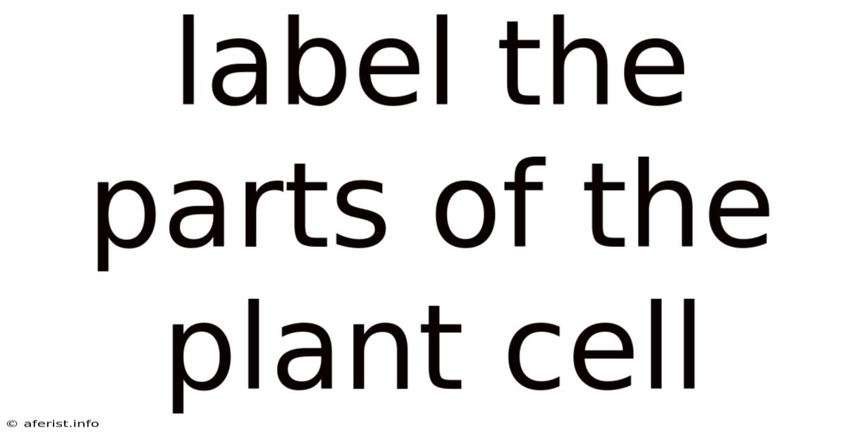 Label The Parts Of The Plant Cell