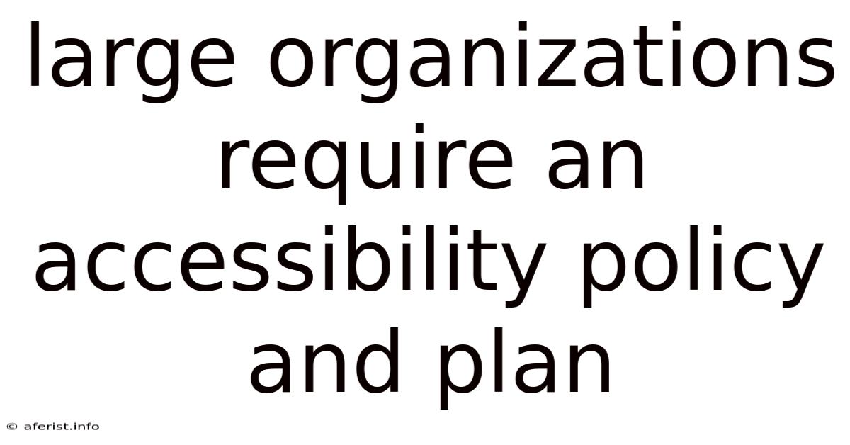 Large Organizations Require An Accessibility Policy And Plan