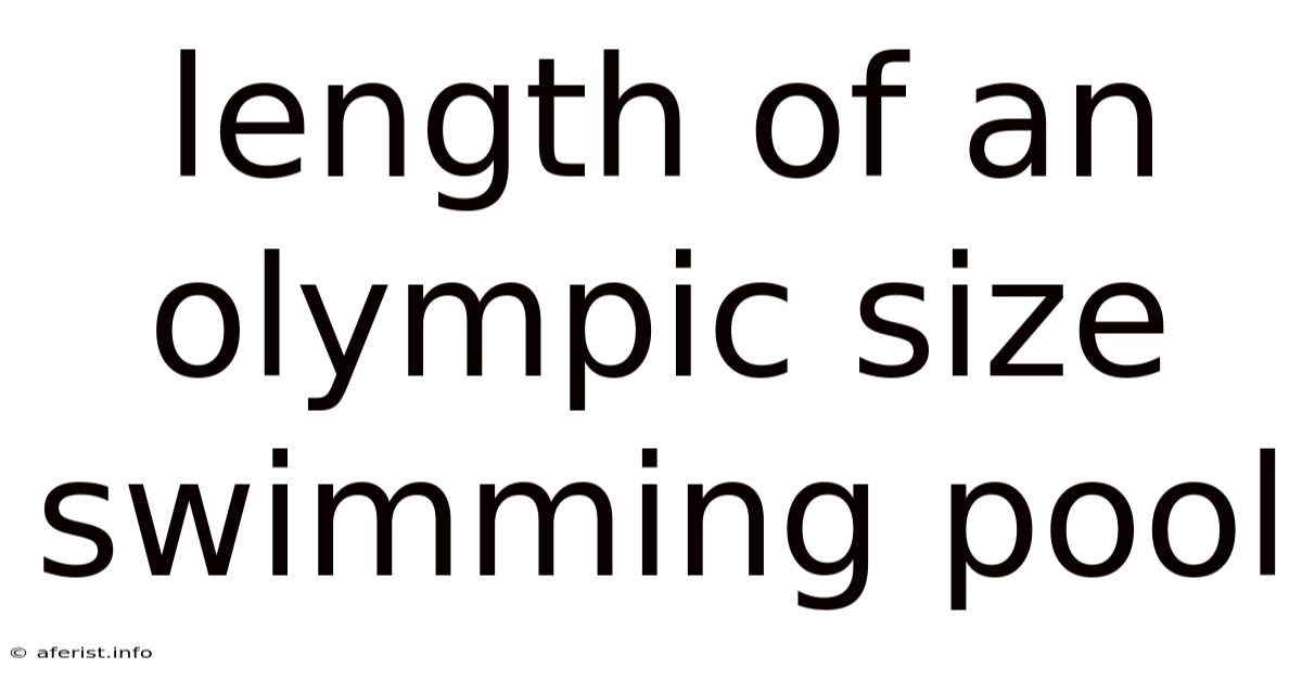 Length Of An Olympic Size Swimming Pool