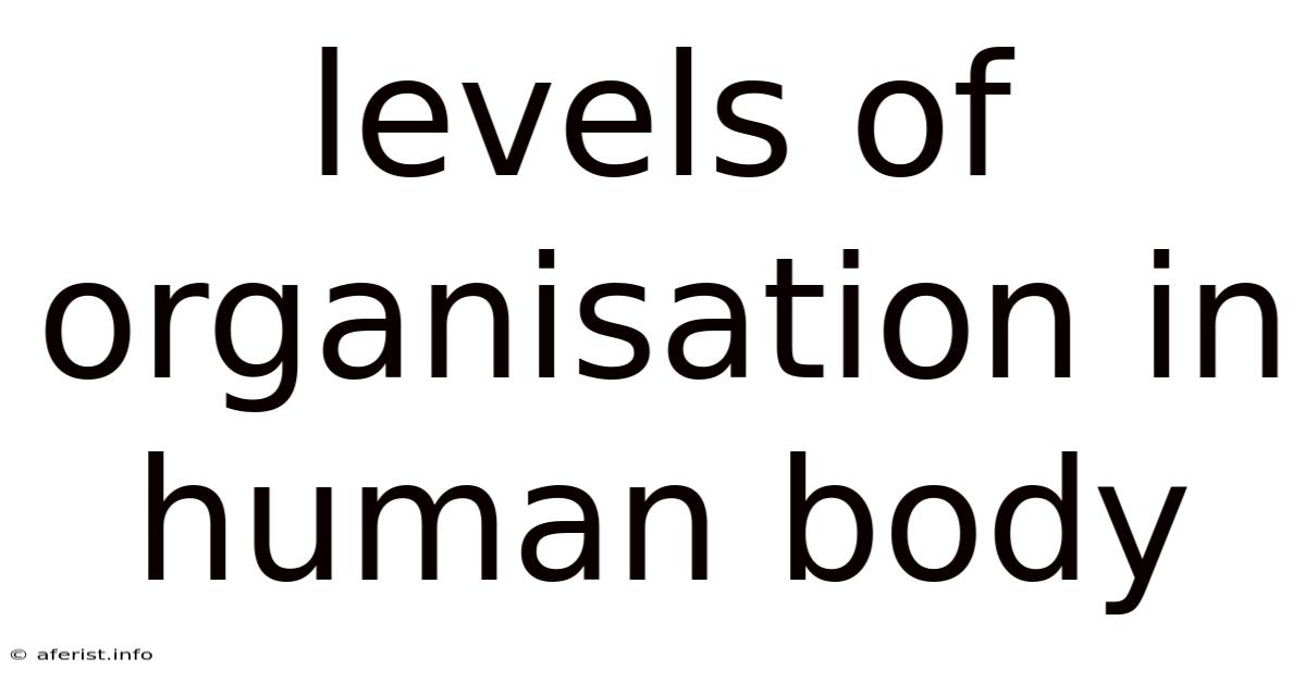 Levels Of Organisation In Human Body