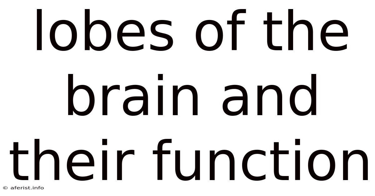 Lobes Of The Brain And Their Function