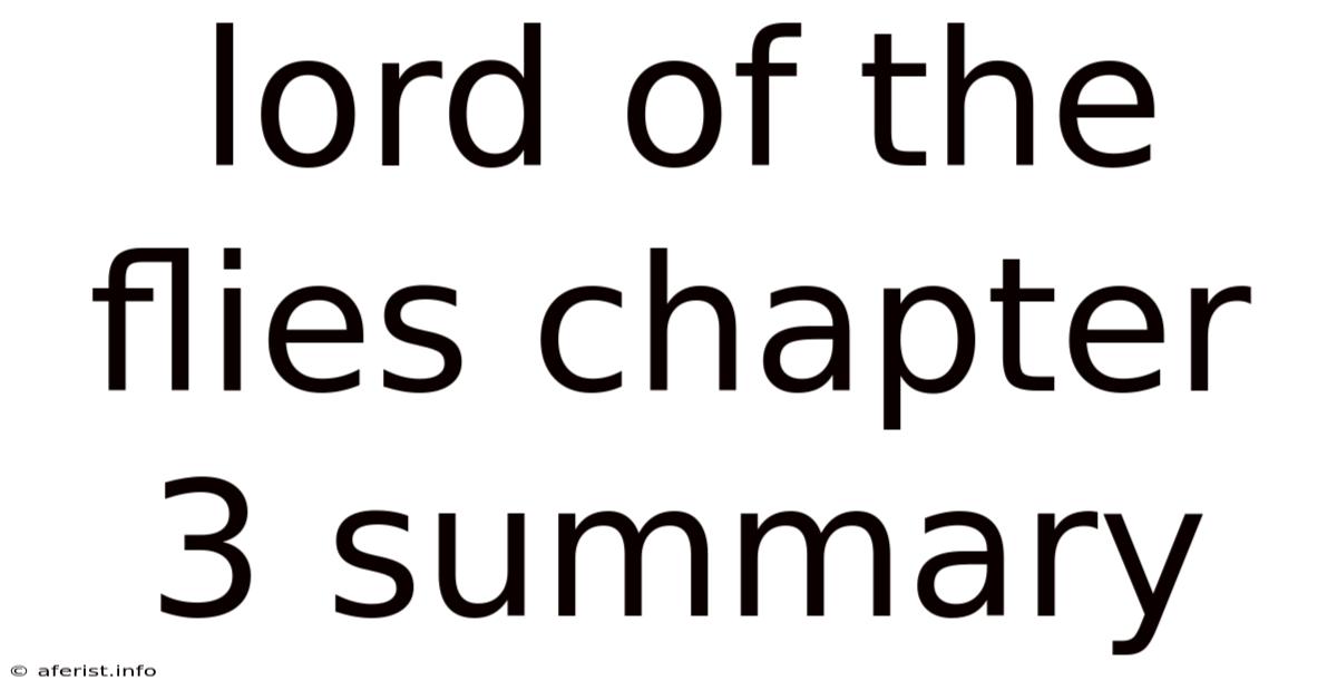 Lord Of The Flies Chapter 3 Summary
