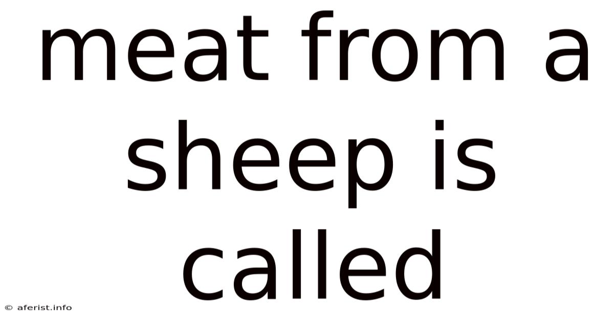 Meat From A Sheep Is Called
