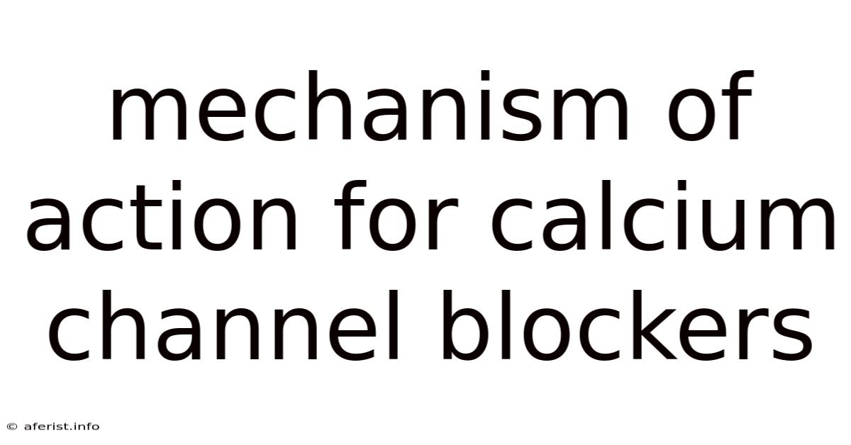 Mechanism Of Action For Calcium Channel Blockers