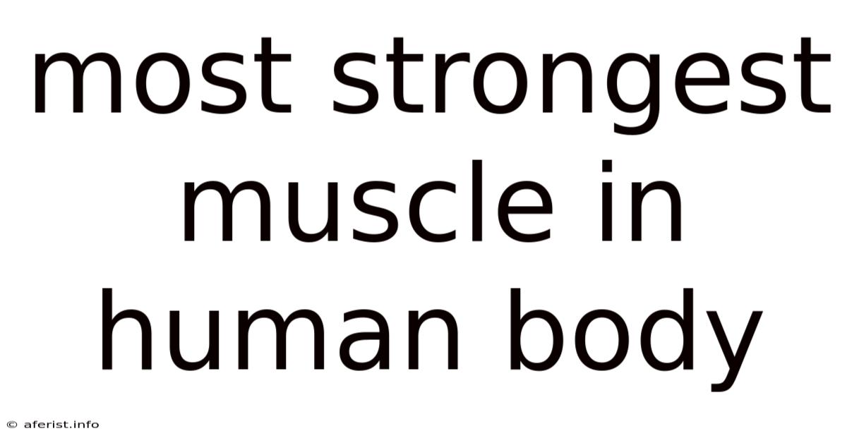 Most Strongest Muscle In Human Body