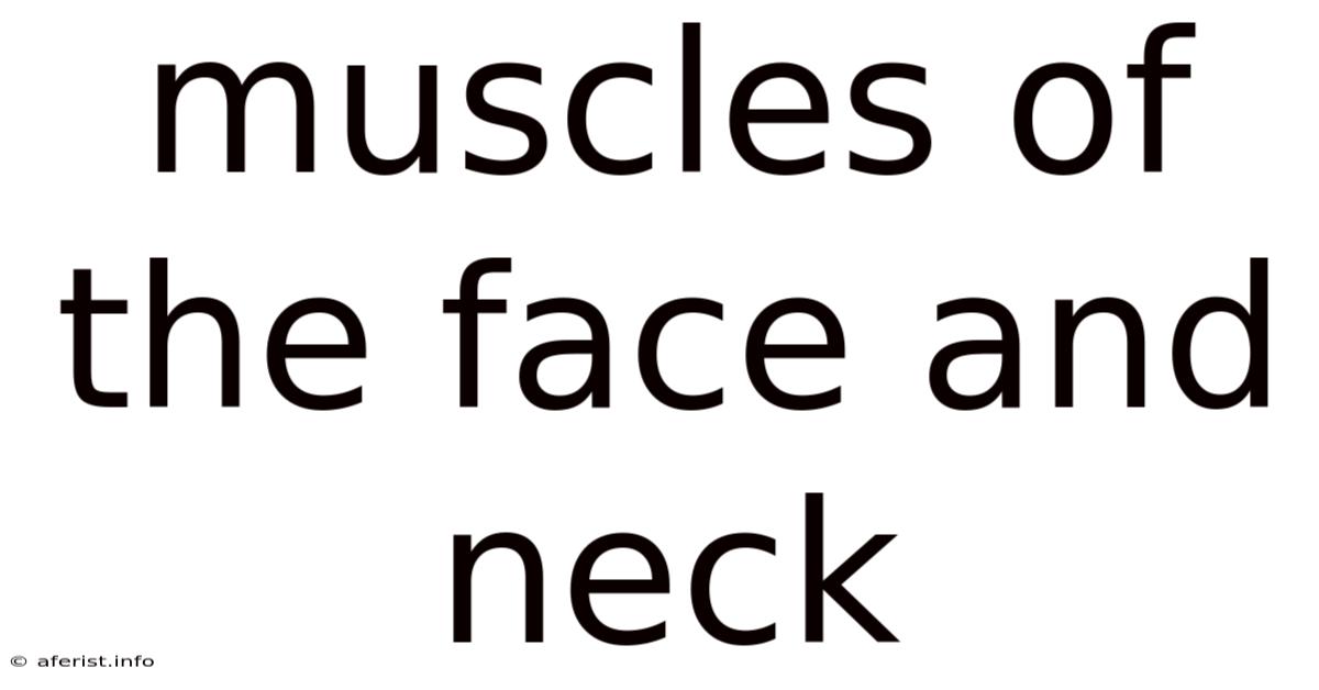 Muscles Of The Face And Neck