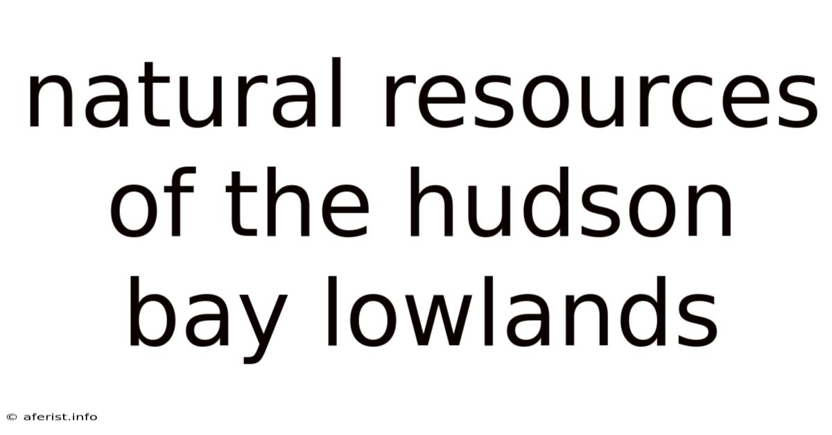 Natural Resources Of The Hudson Bay Lowlands
